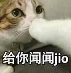 给你闻闻间jio