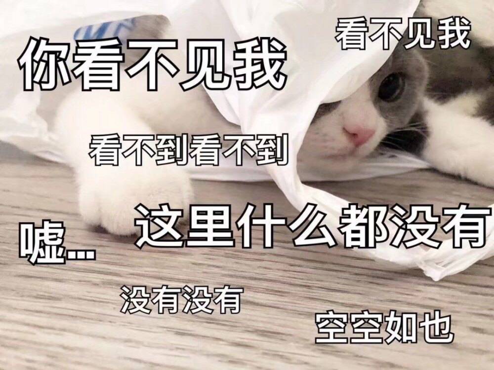 看不见我