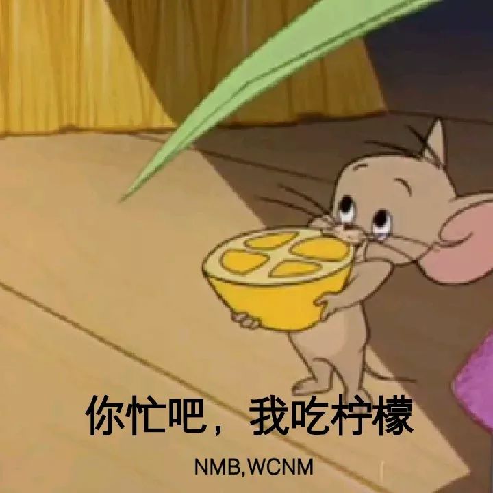 你忙吧，我吃柠檬（NMB，WCNM）