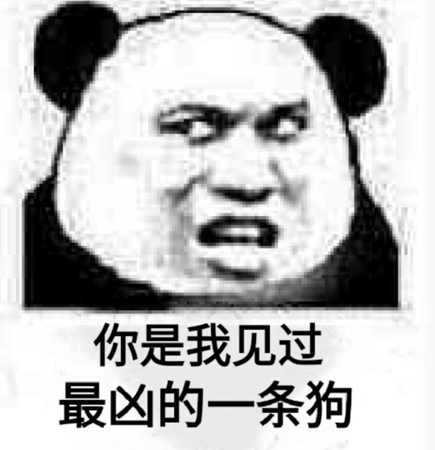 你是我见过最凶的一条狗