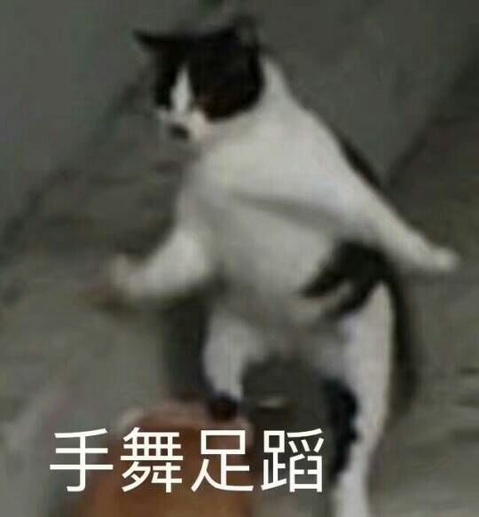 手舞足蹈