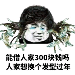 能借人家300块钱吗？人家想换个发型过年