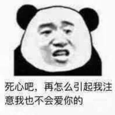 死心吧，再怎么引起我注意，我也不会爱你的