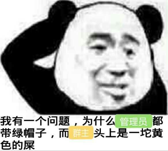 我有一个问题；为什么管３组员都带绿帽子，而头上是一坨黄色的屎