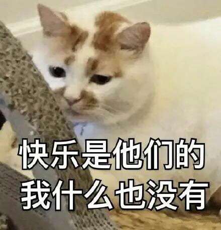 快乐是他们的，我什么也没有