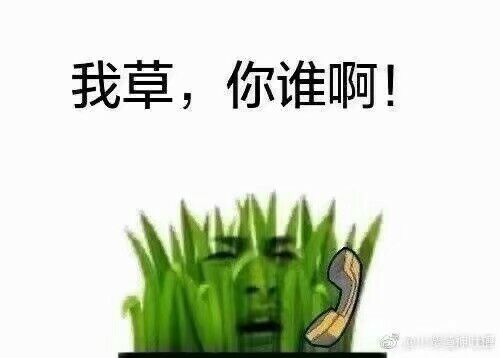 我草，你谁啊！