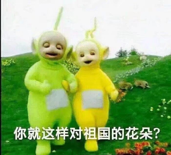 你就这样对祖国的花朵？