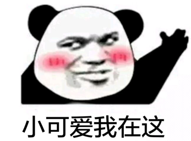 小可爱我在这