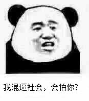 我混這社会会怕你？