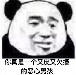 你真是一个又皮又欠揍的恶心男孩