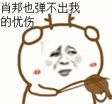 肖邦也弹不出，我的忧伤