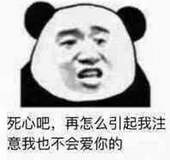 死心吧，再怎么引起我注意我也不会爱你的