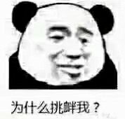 为什么挑衅我？