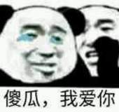 傻瓜，我爱你