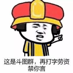 这是斗图群，再打字劳资禁你言