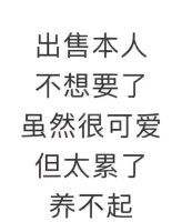 出售本人，不想要了，虽然很可爱，但太累了，养不起