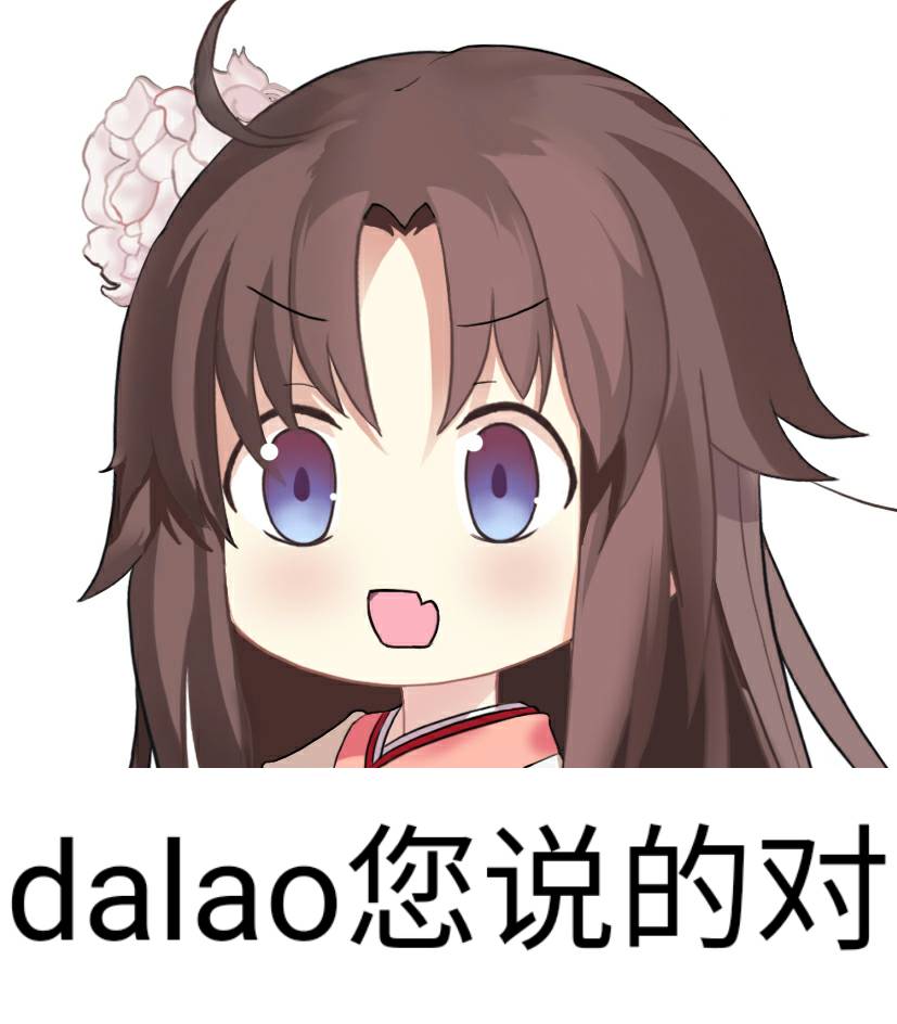 dalao您说的对