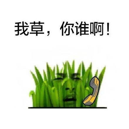 我草；你谁啊！