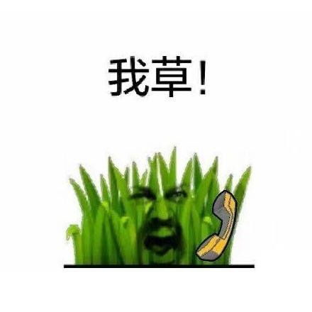 我草！