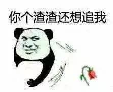 你个渣渣还想追我