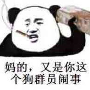 妈的，又是你这个狗群员闹事