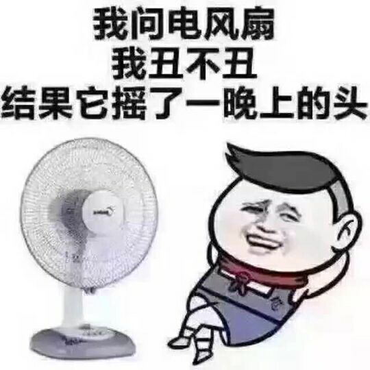 我问电风扇我丑不丑，结果它摇了一晚上的头