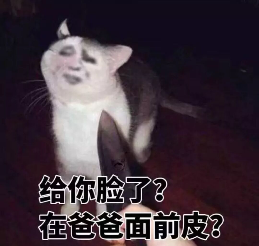 给你脸了？在爸爸面前皮？