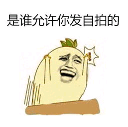 是谁允许你发自拍的