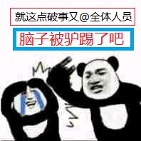 就这点破事，又@全体人员脑子被驴踢了吧