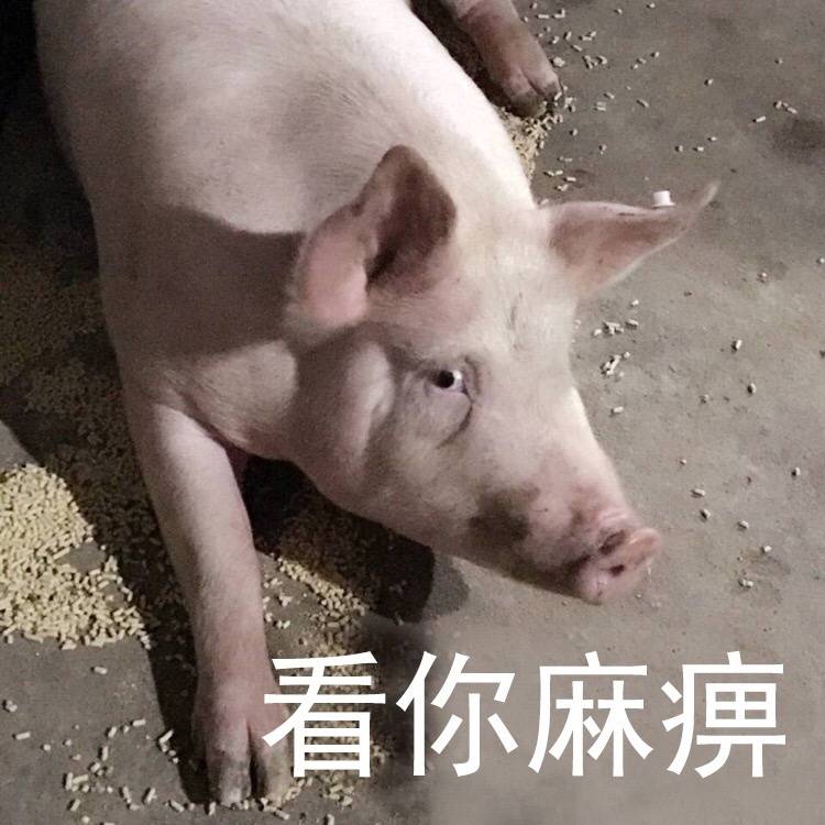 看你麻痹