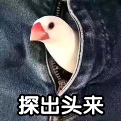 探出头来