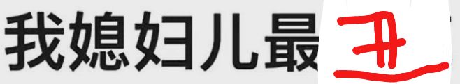 我媳妇儿最丑