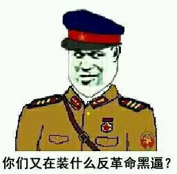 你们又在装什么反革命黑逼？