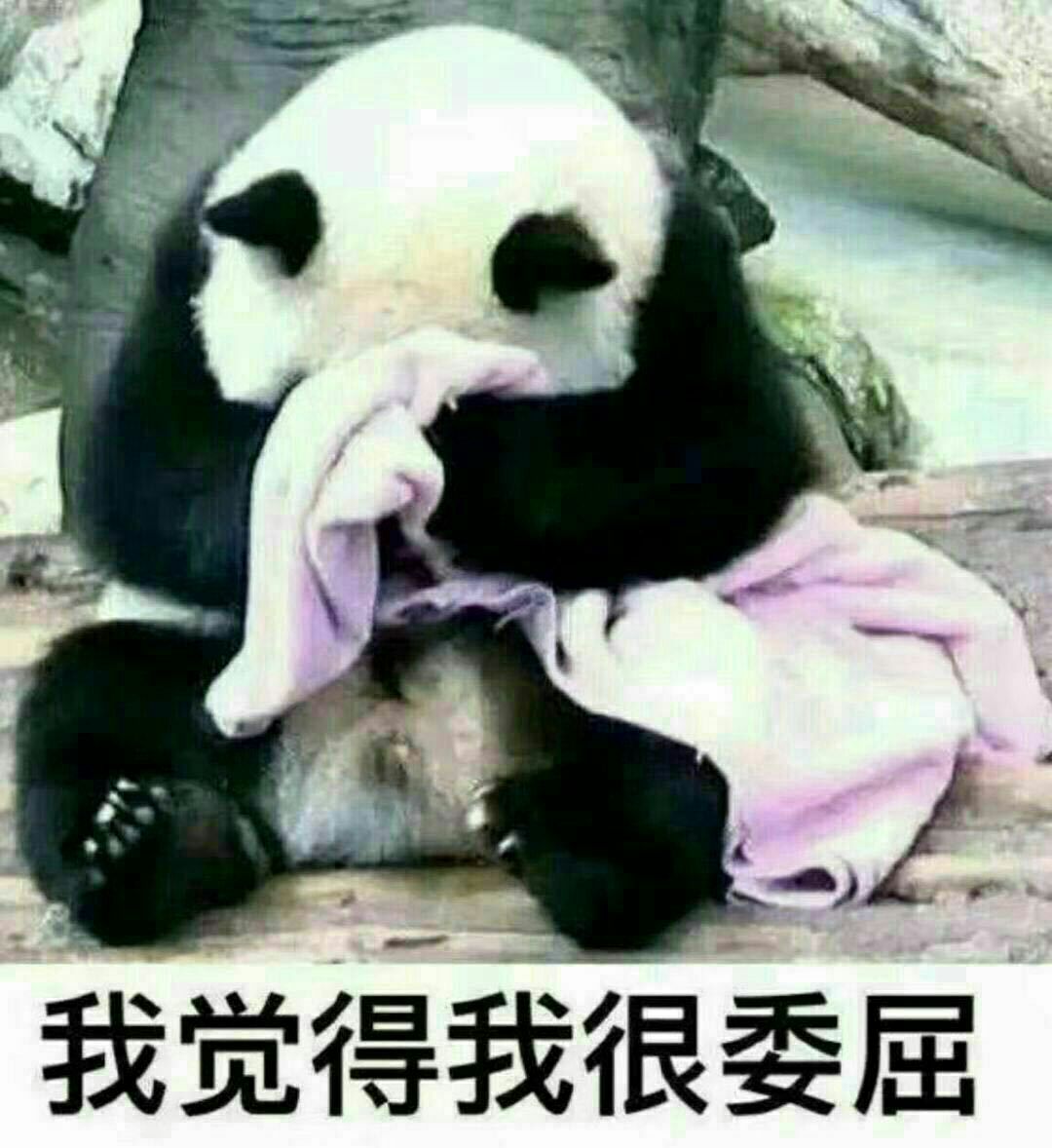 我觉得我很委屈