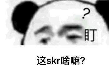 盯，这SKR啥嘛？