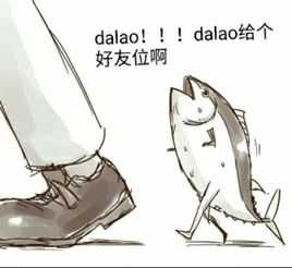 dalao给个好友位啊