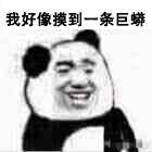 我好像摸到一条巨蟒