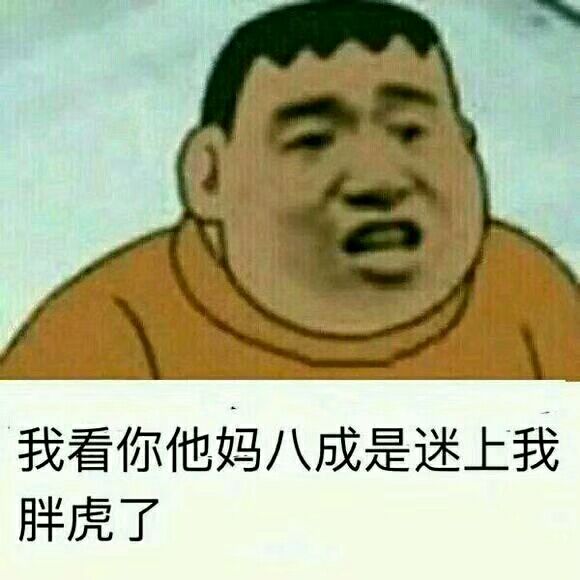 我看你他妈八成是迷上我胖虎了