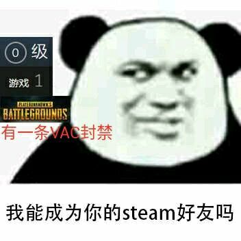 我能成为你的steam好友吗？（有一条VAC封禁）