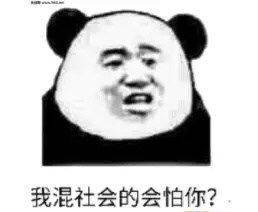 我混社会的会怕你？