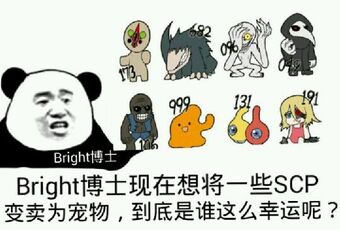 Bright博士现在想将一些SCP变卖为宠物，到底是谁这么幸运呢？