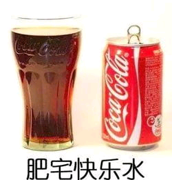 肥宅快乐水