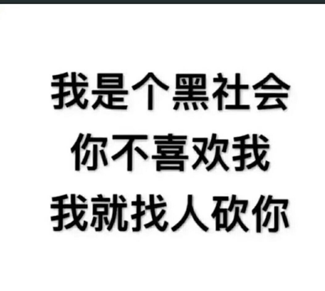 我是个黑社会，你不喜欢我我就找人砍你