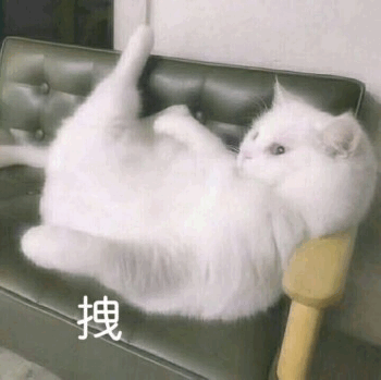 拽