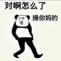 对啊怎么了，操你妈的