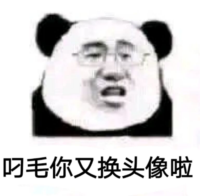 叼毛你又换头像啦