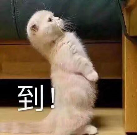 到
