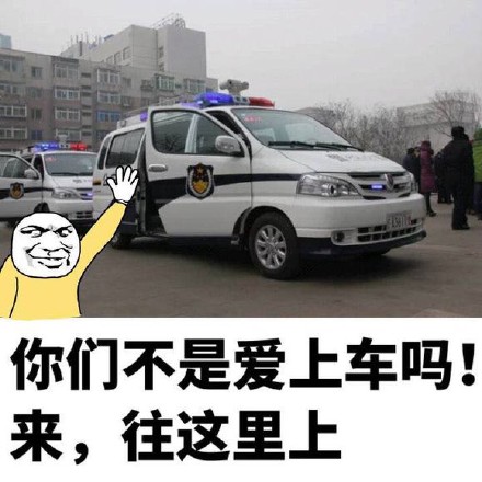 你们不是爱上车吗，来往这里上