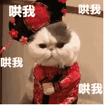 哄我