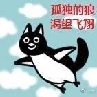 孤独的狼，渴望飞翔